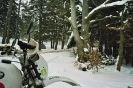 AET 2005